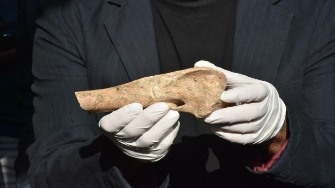 İzmir deki arkeolojik kazılarda aslan ve panter kemikleri bulundu