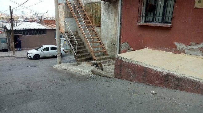 İzmir deki  koca dehşet in perde arkası: O evi boşaltmadığı için öldürmüş!