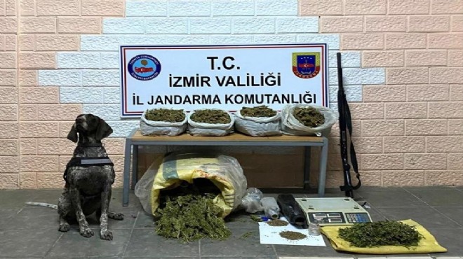 İzmir deki  kökünü kurutma  operasyonunda 59 gözaltı