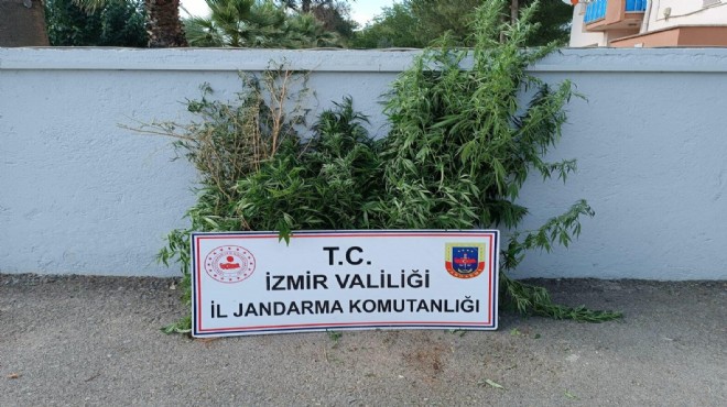 İzmir deki uyuşturucu operasyonlarında 3 tutuklama