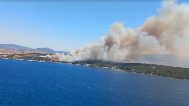 İzmir in 2 ilçesinde orman yangını paniği!