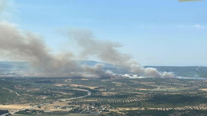 İzmir in 2 ilçesinde orman yangını paniği
