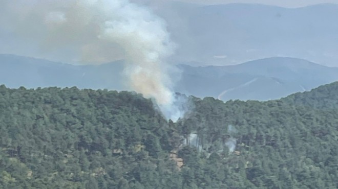 İzmir in o ilçesinde orman yangını paniği