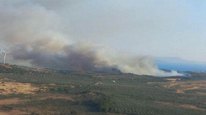 İzmir in o ilçesinde tarım alanında yangın