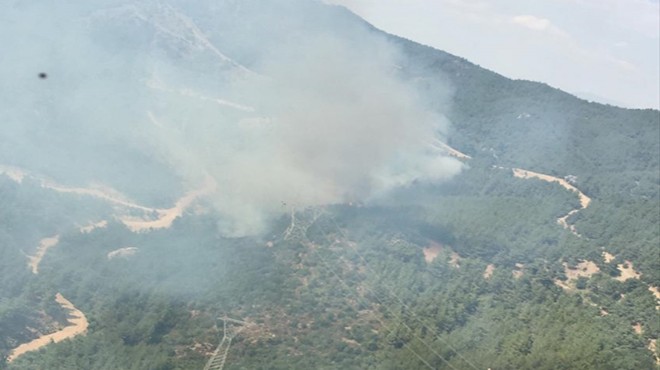 İzmir in o ilçesinde yine orman yangını paniği!
