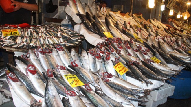 İzmir in tezgahlarında ucuz balık bolluğu