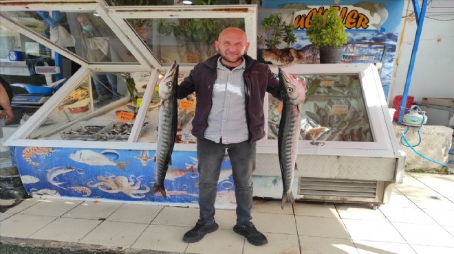 İzmirli balıkçıların  baraküda  sevinci!