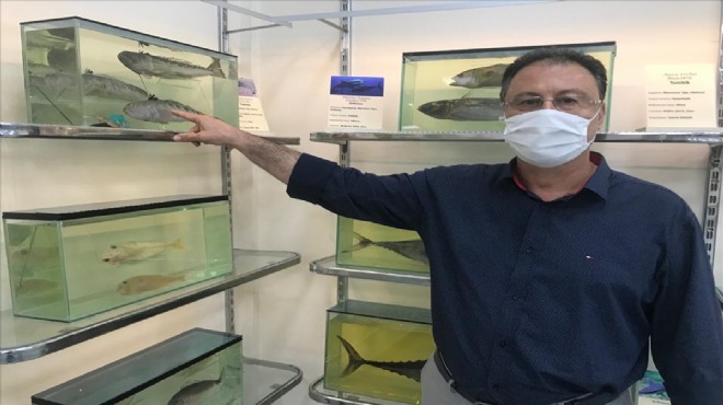 İzmirli profesörden açıklama: Somon balığı Kovid-19 taşıyıcısı mı?