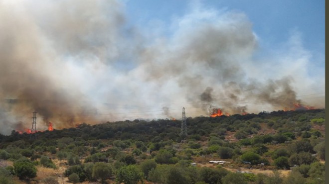 Tire ve Balıklıova daki yangınlar kontrol altına alındı
