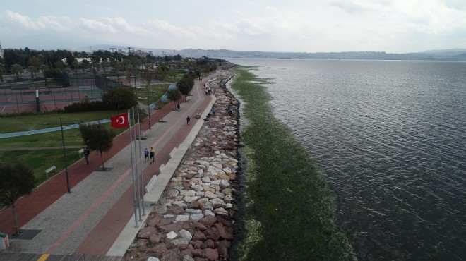 İzmir de korkutan görüntü: Denizi  marul  ve yosunlar bastı!