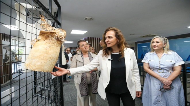 Karşıyaka'da sanatın adresi Galeri Alt