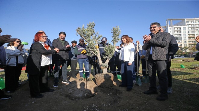Karşıyaka'da zeytin fidanları toprakla buluştu