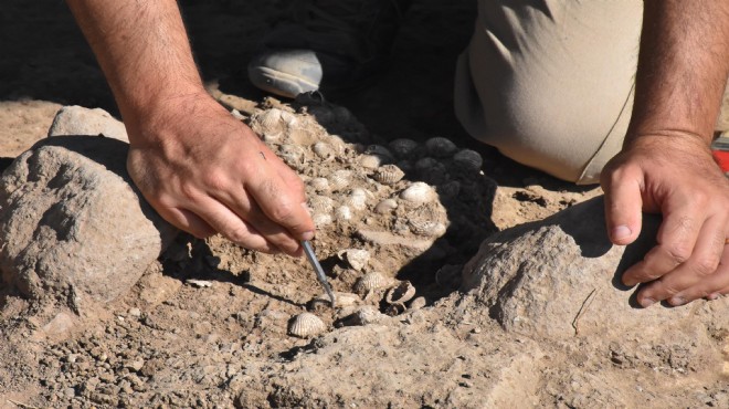 Kazılarda ortaya çıktı: İlk İzmirliler de midyeyi seviyormuş