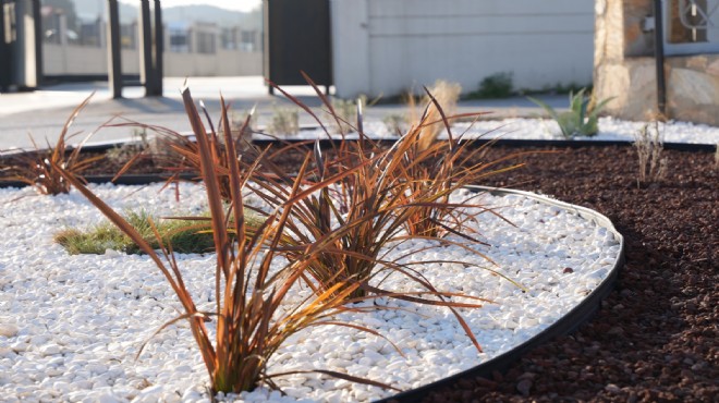 Kemalpaşa'da su krizine karşı kuru peyzaj!