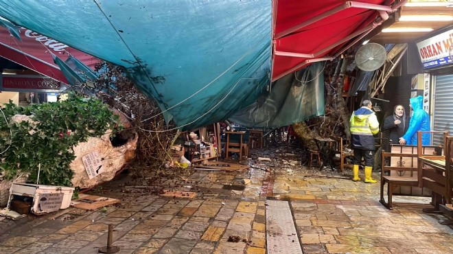 Kemeraltı'nda asırlık ağaç devrildi