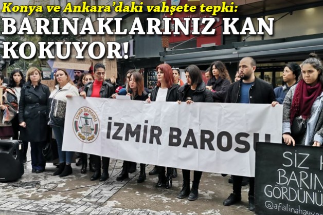 Konya ve Ankara'daki vahşete tepki: Barınaklarınız kan kokuyor!