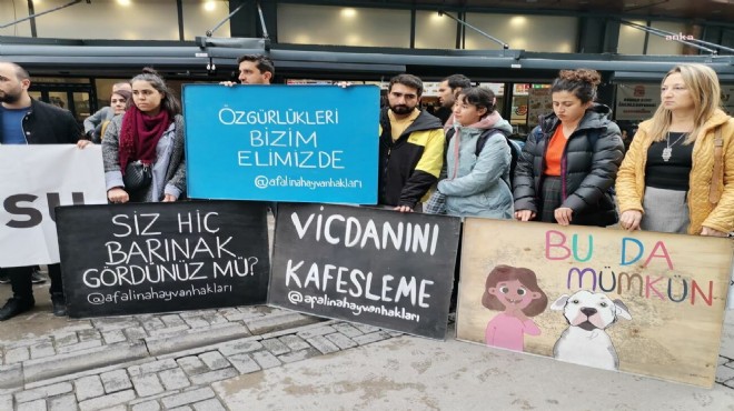 Konya ve Ankara daki vahşete tepki: Barınaklarınız kan kokuyor!