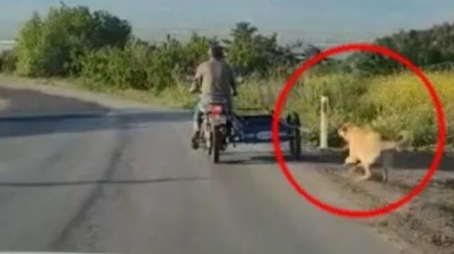 Köpeği motosikletin arkasına bağlayıp koşturdu!