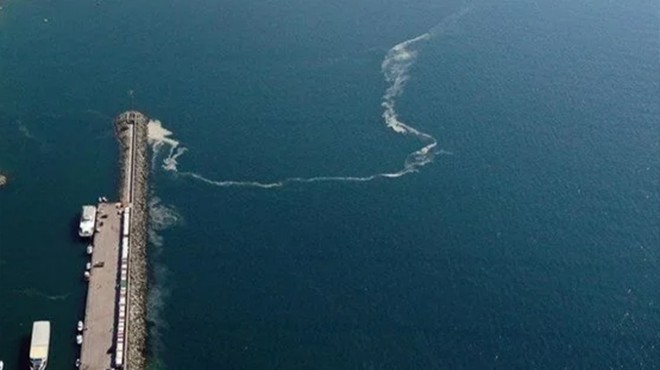 Marmara Denizi nde yeni tehlike: Oksijen azlığı