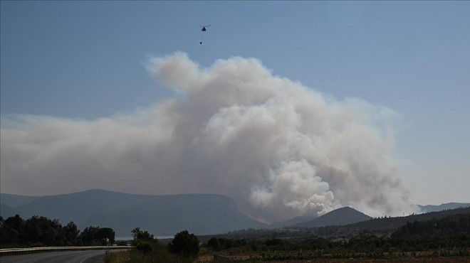 Menderes yangınında 260 hektar küle döndü!