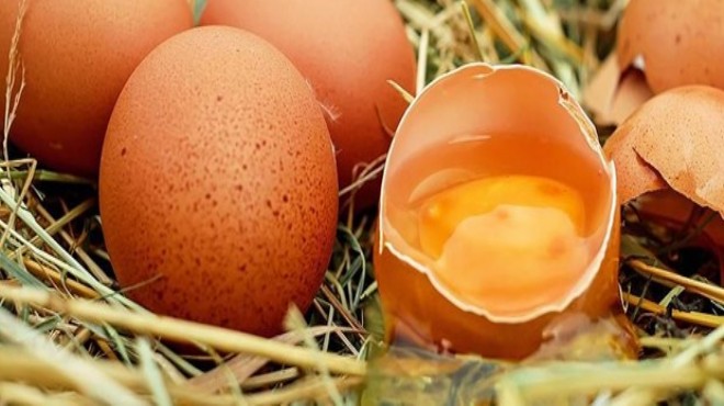 Organik yumurta uyarısı