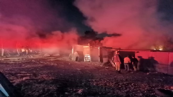 Ormanda korkutan yangın: 4 baraka kül oldu!