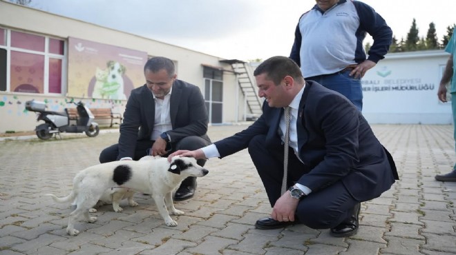 Patili dostlara dost belediye Torbalı!