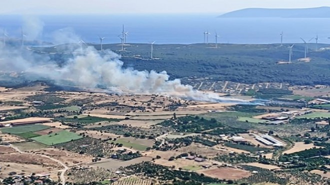 Seferihisar'da bir yangın daha: Müdahale başladı