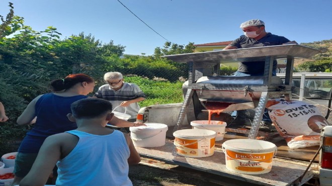 Selçuk'ta kışlık salça hazırlıkları başlıyor