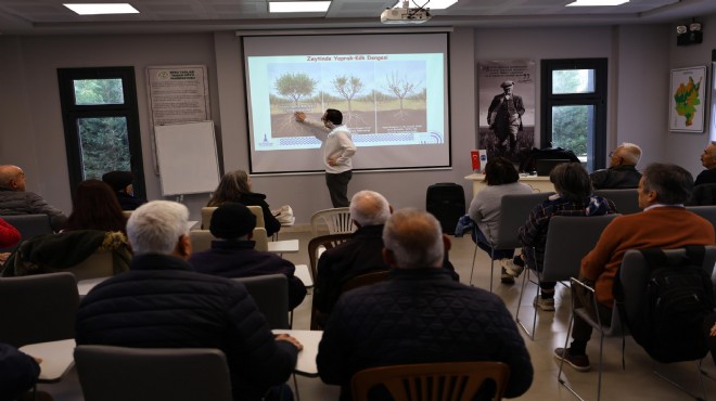 Selçuk'ta üreticilere zeytin budama eğitimi