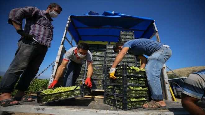 Sofralık üzüm ihracatında hedef 180 milyon dolar