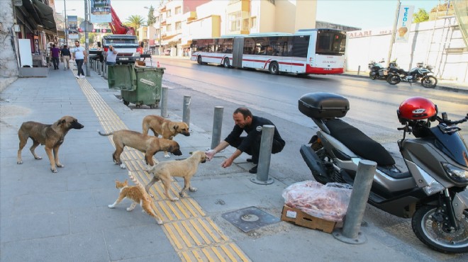 Sokak hayvanları için motosikletiyle İzmir i arşınlıyor!