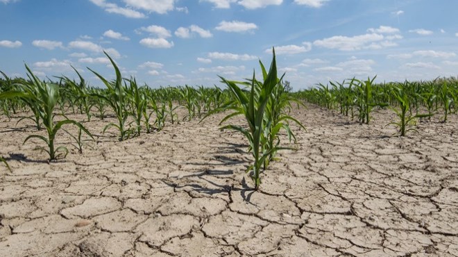 Su raporu: Tarımda kuraklık tehlikesi