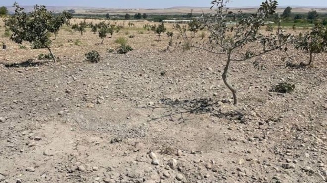 Terör örgütü YPG/PKK dan Karkamış a roket saldırısı
