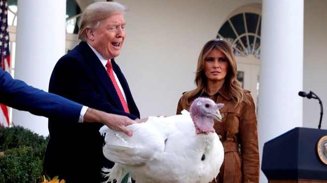 Trump Şükran Günü için iki hindiyi affetti!