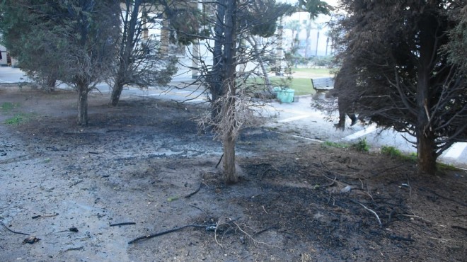 Vandal dehşeti: Konak Meydanı nda ağaçları yaktılar!