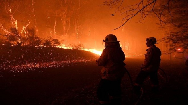 Avustralya’daki yangınlarda acı rapor!
