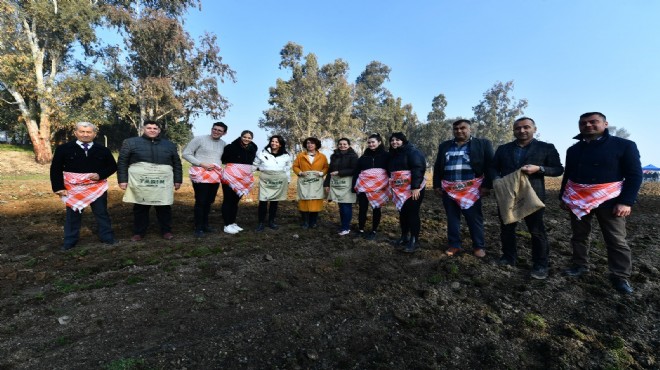 Yaşar Üniversitesi öğrencileri karakılçık ekiminde!