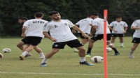Altay'da Ali formaya yakın