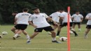 Altay'da Ali formaya yakın
