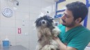 Can dostlar için 'Pako' uygulaması!
