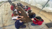 Çocuklar Efes Tarlası'nda toprakla buluşuyor
