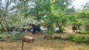 İzmir'de akıl almaz ölüm: Havuzu doldururken canından oldu!
