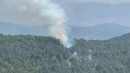 İzmir'in o ilçesinde orman yangını paniği