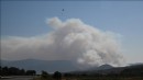 Menderes yangınında 260 hektar küle döndü!