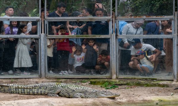 Bayramda Doğal Yaşam Parkı'na ziyaretçi akını