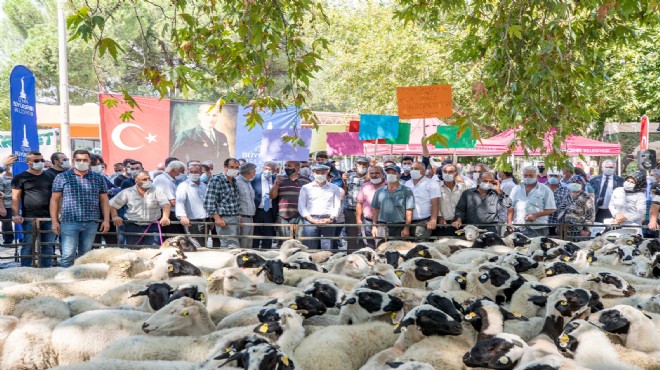  İzmir in umut sürüsü  30 bini geçti!