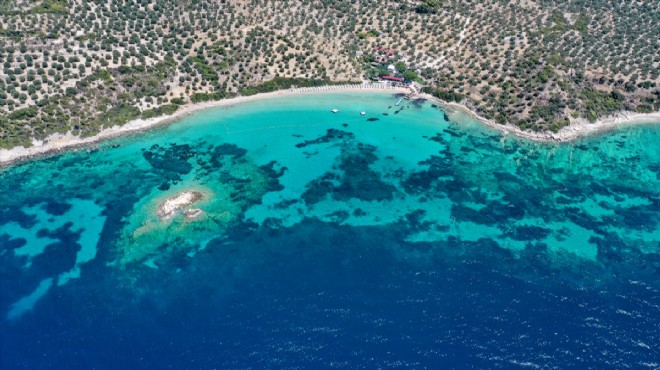  İzole  tatilin adresi: Dikili koyları