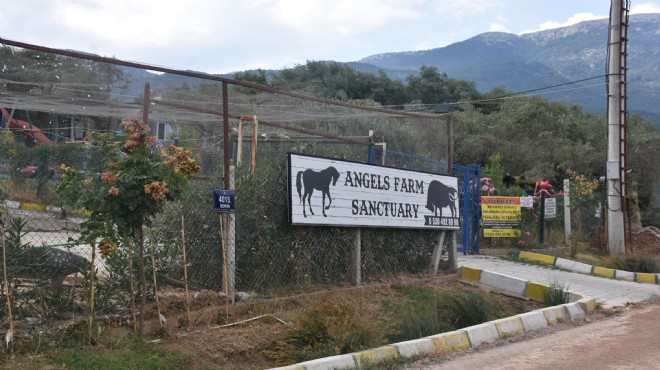 'Melekler Çiftliği'nin yaşam savaşı: Yıkılmadı, ayakta ama...