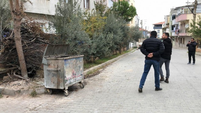 'Seri kedi katili': Bacaklarını kesiyor!